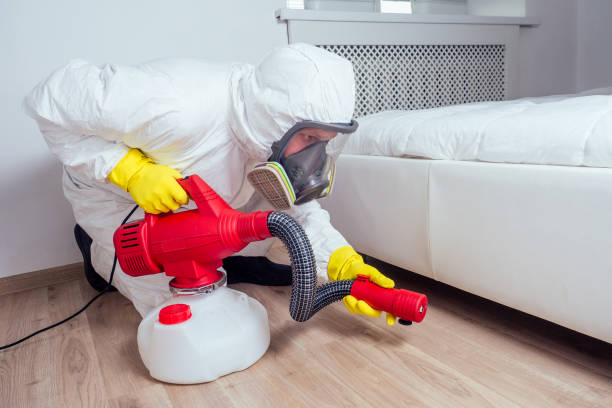 Best Pest Prevention Services  in Grand Saline, TX